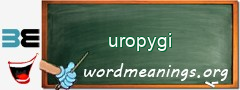 WordMeaning blackboard for uropygi